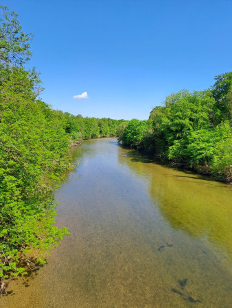 20250429_154157.jpg
