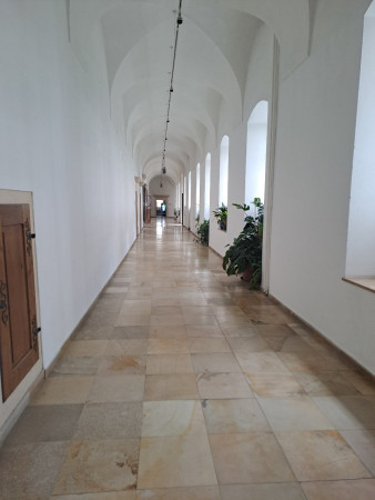 20250708_144419.jpg