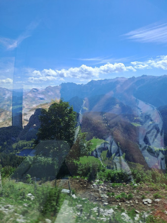 20250826_133142.jpg
