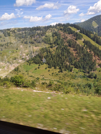 20250826_133352.jpg