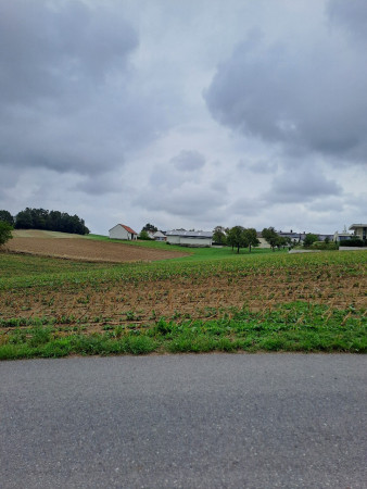 20260917_135101.jpg