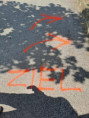/album/landeswandertag-rund-um-die-seen-bei-st-polten/20250606-102603-jpg/