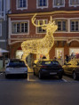 /album/adventfahrt-nach-wels-pferdekutschenfahrt-weihnachtliche-altstadt-welser-lichterpfad/20251126-162707-jpg/