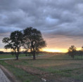 /album/ausflug-zu-echt-vom-land-in-mank/img-20260922-wa0048-jpg/